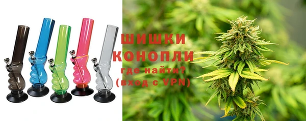 дживик Абаза