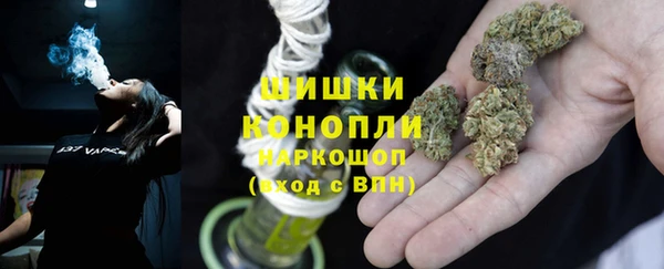 дживик Абаза