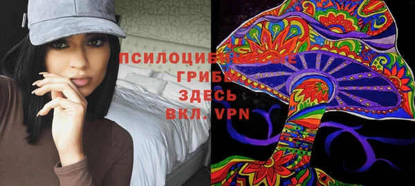 стаф Майский