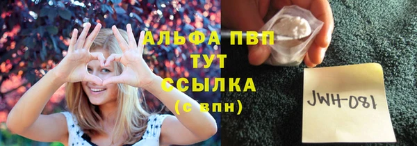 дживик Абаза