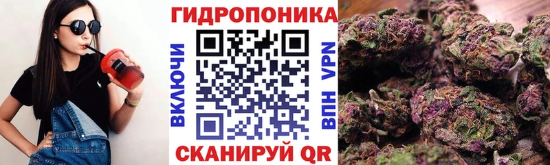 Конопля планчик  наркотики  Фёдоровский 